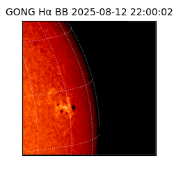 gong - 2025-08-12T22:00:02