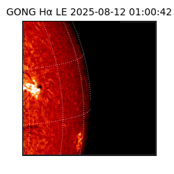 gong - 2025-08-12T01:00:42