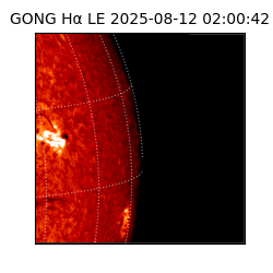 gong - 2025-08-12T02:00:42