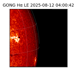 gong - 2025-08-12T04:00:42