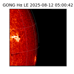 gong - 2025-08-12T05:00:42