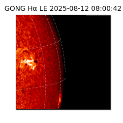 gong - 2025-08-12T08:00:42