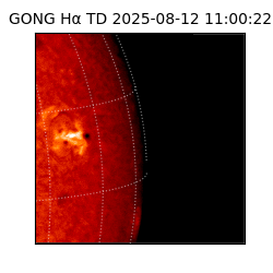 gong - 2025-08-12T11:00:22