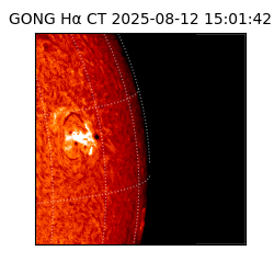 gong - 2025-08-12T15:01:42