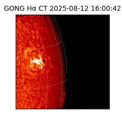 gong - 2025-08-12T16:00:42
