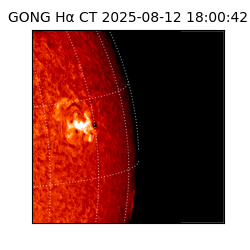gong - 2025-08-12T18:00:42