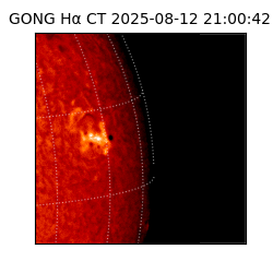 gong - 2025-08-12T21:00:42