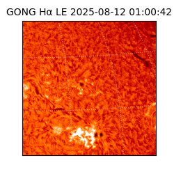 gong - 2025-08-12T01:00:42