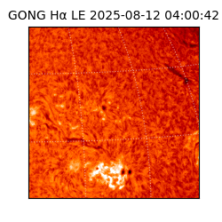 gong - 2025-08-12T04:00:42