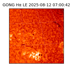 gong - 2025-08-12T07:00:42