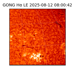 gong - 2025-08-12T08:00:42