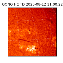 gong - 2025-08-12T11:00:22