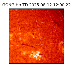 gong - 2025-08-12T12:00:22