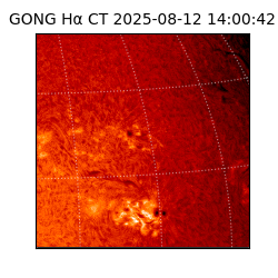 gong - 2025-08-12T14:00:42