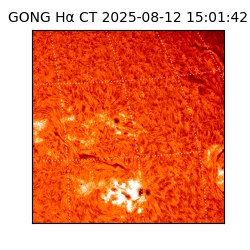 gong - 2025-08-12T15:01:42