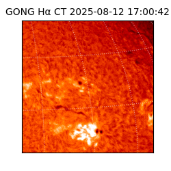 gong - 2025-08-12T17:00:42