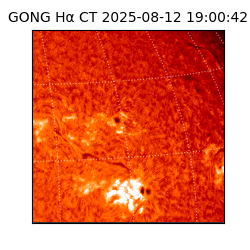 gong - 2025-08-12T19:00:42