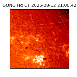 gong - 2025-08-12T21:00:42