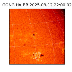 gong - 2025-08-12T22:00:02