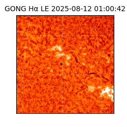 gong - 2025-08-12T01:00:42