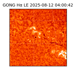 gong - 2025-08-12T04:00:42