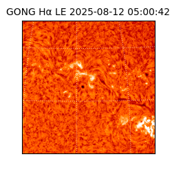 gong - 2025-08-12T05:00:42