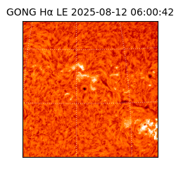 gong - 2025-08-12T06:00:42