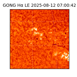 gong - 2025-08-12T07:00:42