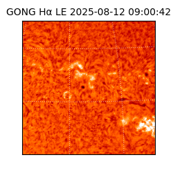 gong - 2025-08-12T09:00:42