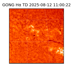 gong - 2025-08-12T11:00:22