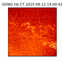 gong - 2025-08-12T14:00:42