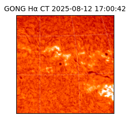 gong - 2025-08-12T17:00:42