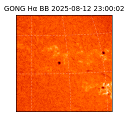 gong - 2025-08-12T23:00:02