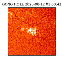 gong - 2025-08-12T01:00:42