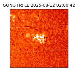 gong - 2025-08-12T02:00:42