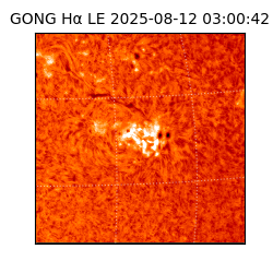 gong - 2025-08-12T03:00:42