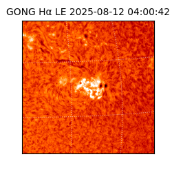 gong - 2025-08-12T04:00:42