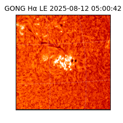 gong - 2025-08-12T05:00:42