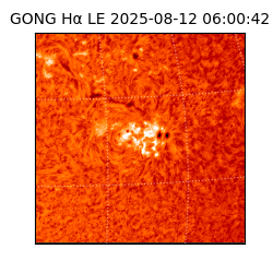 gong - 2025-08-12T06:00:42