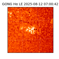 gong - 2025-08-12T07:00:42