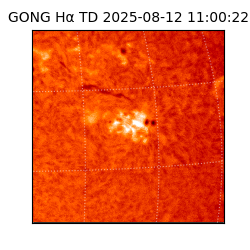 gong - 2025-08-12T11:00:22