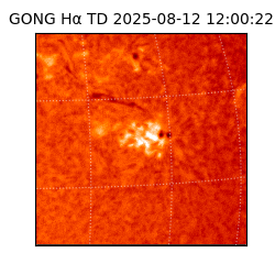 gong - 2025-08-12T12:00:22