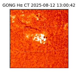 gong - 2025-08-12T13:00:42