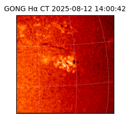 gong - 2025-08-12T14:00:42