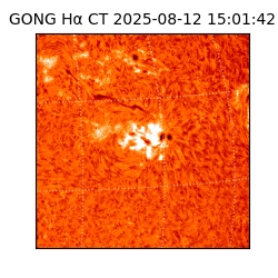 gong - 2025-08-12T15:01:42