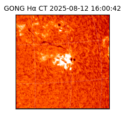 gong - 2025-08-12T16:00:42