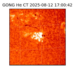 gong - 2025-08-12T17:00:42