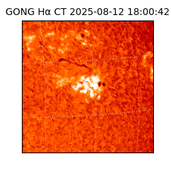 gong - 2025-08-12T18:00:42