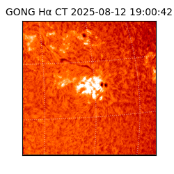 gong - 2025-08-12T19:00:42