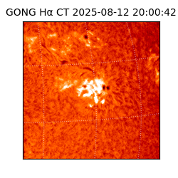 gong - 2025-08-12T20:00:42